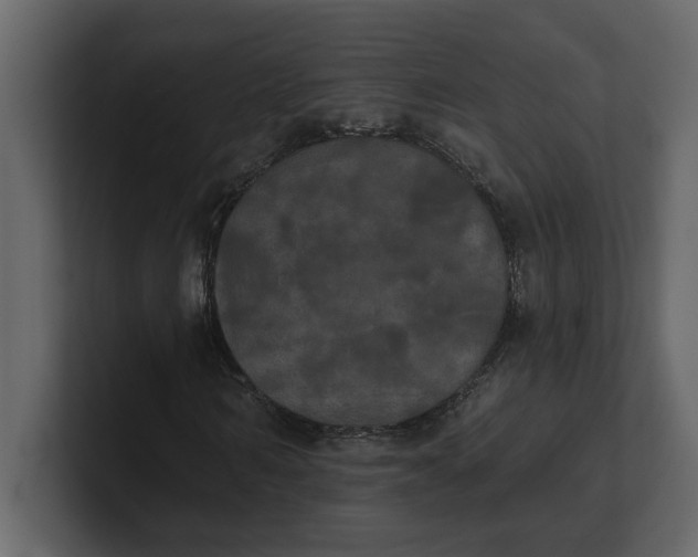 X0000100920962200807151218