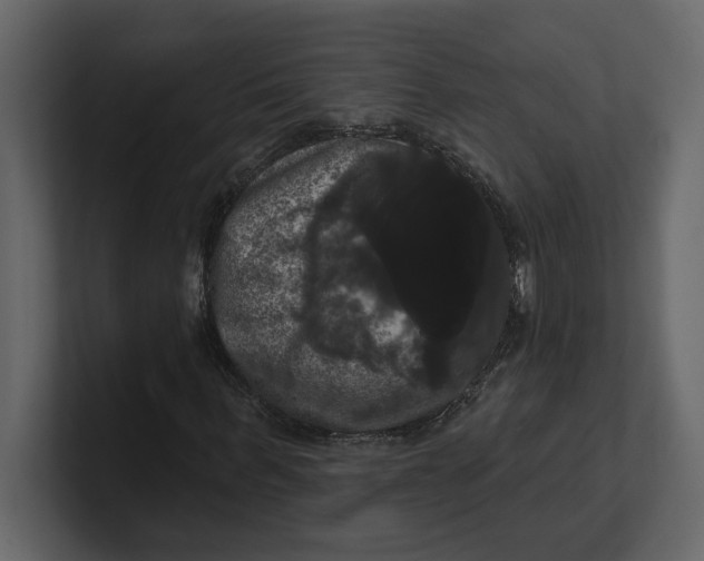 X0000100920963200807151218