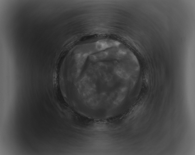 X0000100920964200807151218