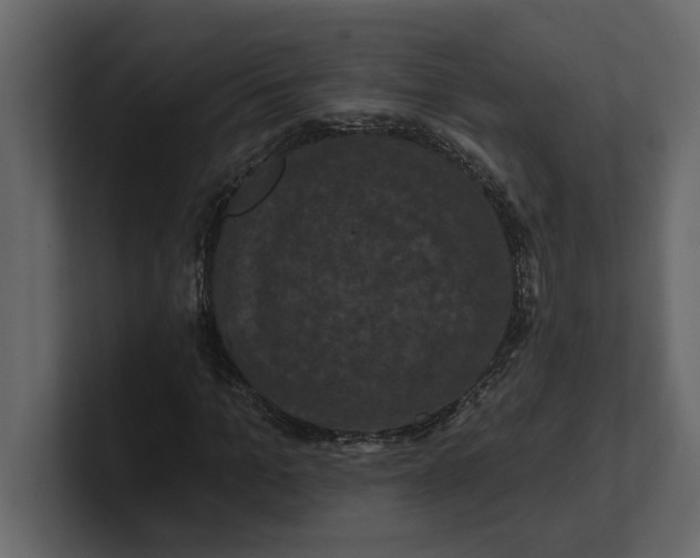 X0000100920965200807151218