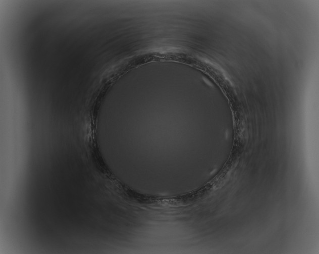 X0000100920966200807151218