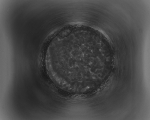 X0000100920967200807151218