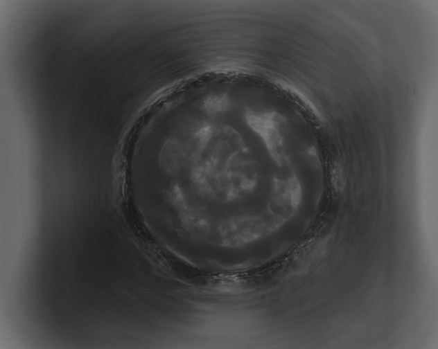 X0000100920968200807151218