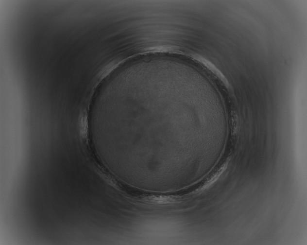 X0000100920969200807151218