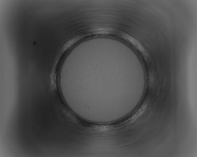 X0000100920970200807151218