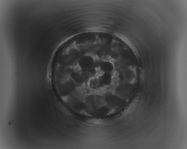 X0000100920971200807151218