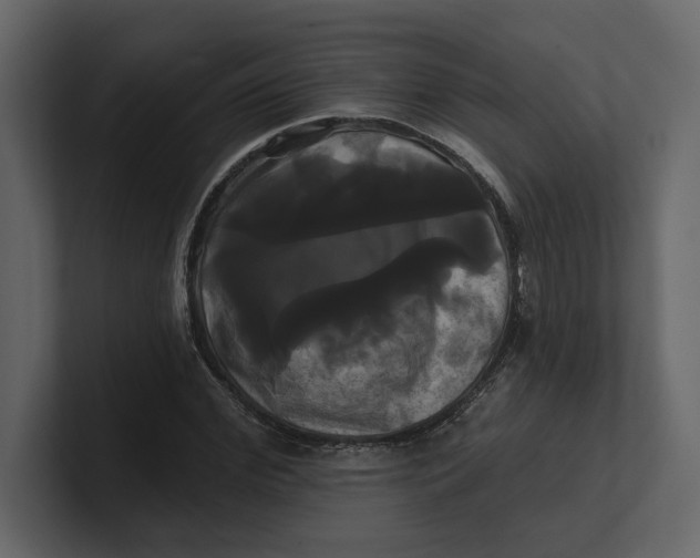 X0000100920972200807151218