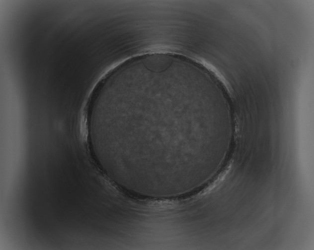 X0000100920973200807151218