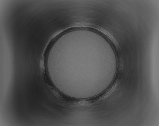 X0000100920974200807151218