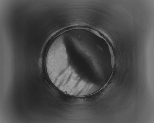 X0000100920975200807151218