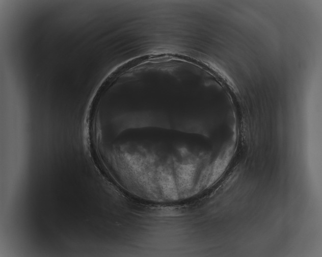 X0000100920976200807151218