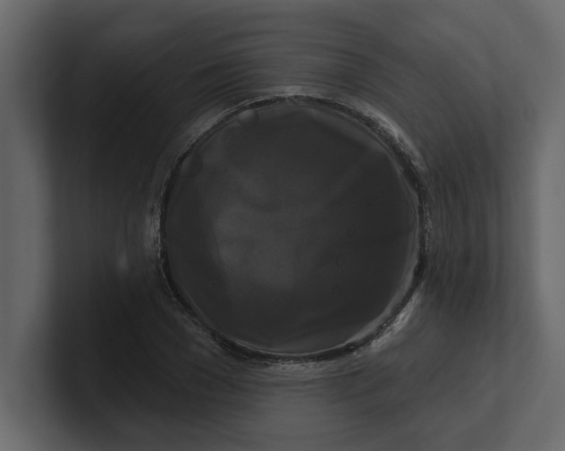 X0000100920977200807151218