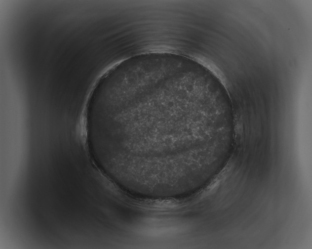 X0000100920979200807151218