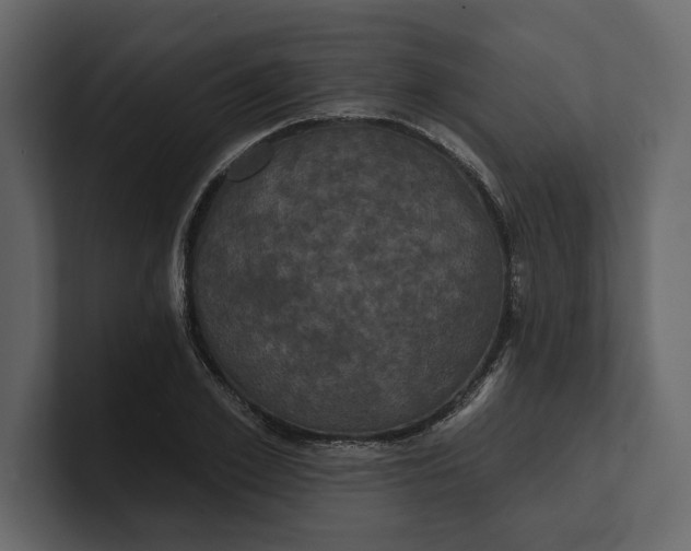 X0000100920981200807151218