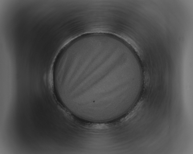 X0000100920982200807151218