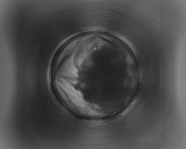 X0000100920983200807151218