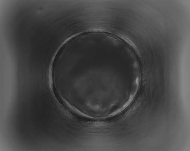 X0000100920984200807151218