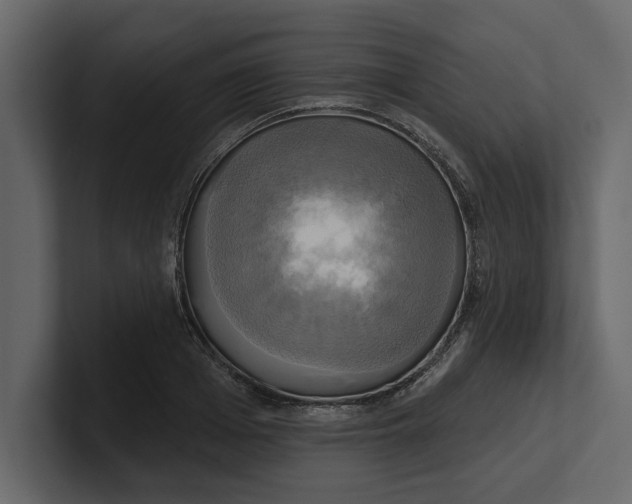 X0000100920985200807151218