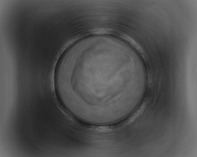 X0000100920986200807151218