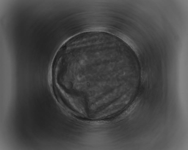 X0000100920988200807151218