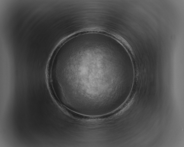 X0000100920989200807151218