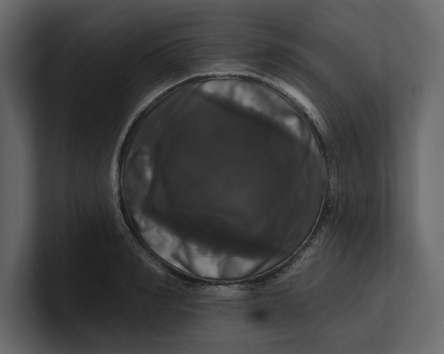 X0000100920990200807151218