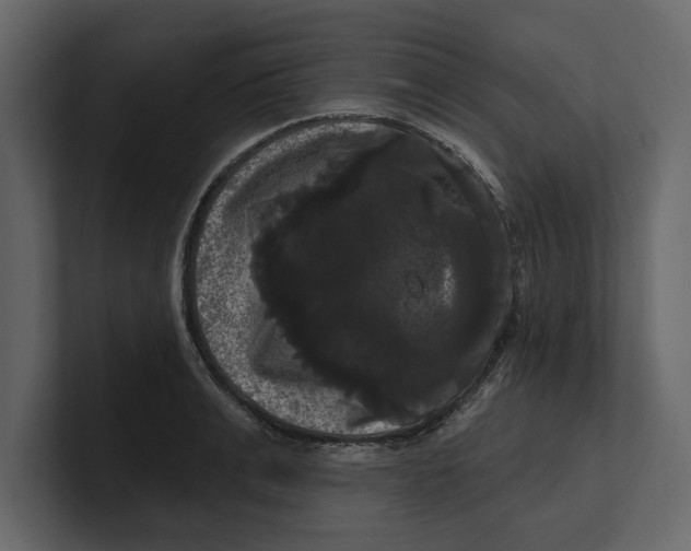 X0000100920991200807151218