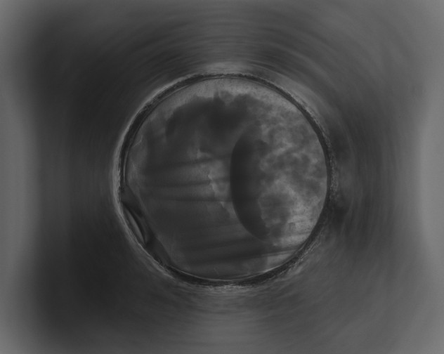 X0000100920992200807151218