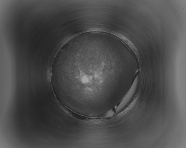 X0000100920993200807151218