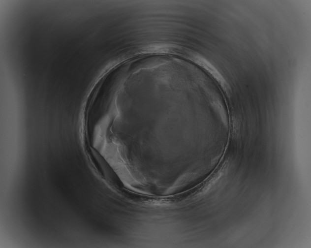 X0000100920994200807151218