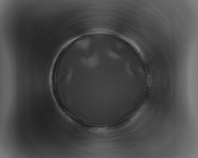 X0000100920995200807151218