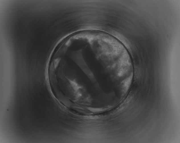 X0000100920996200807151218