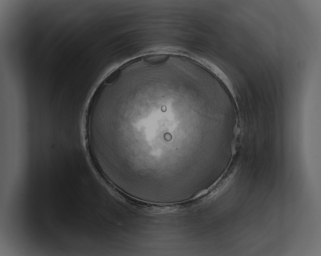 X0000100920997200807151218