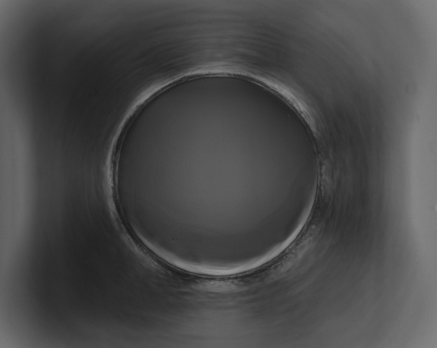 X0000100920998200807151218