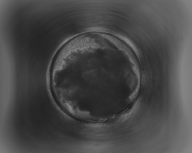 X0000100920999200807151218