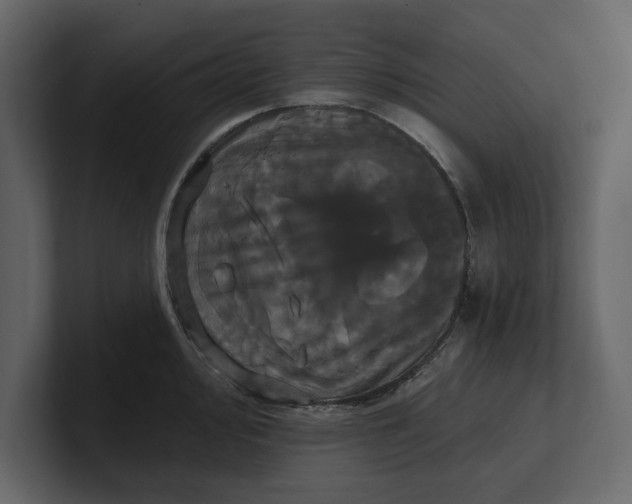 X0000100921000200807151218