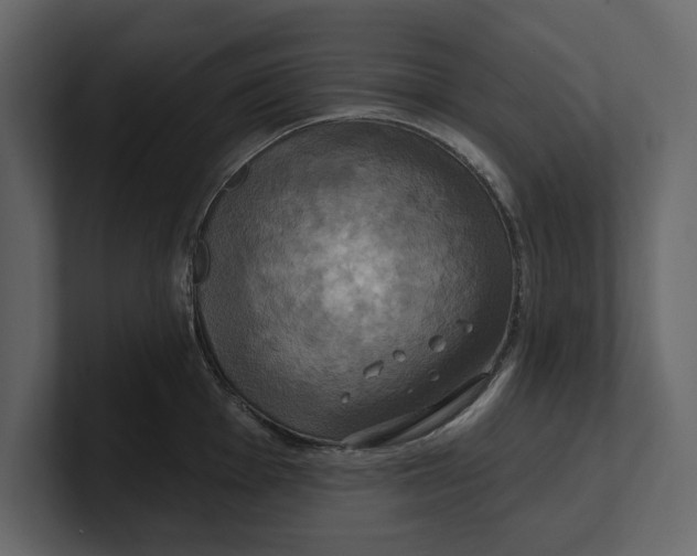 X0000100921001200807151218