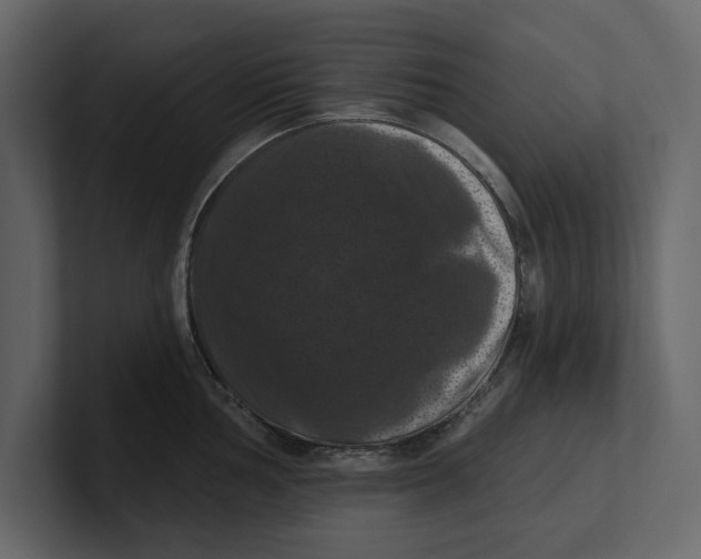 X0000100921002200807151218