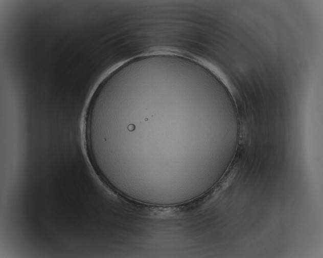 X0000100921003200807151218