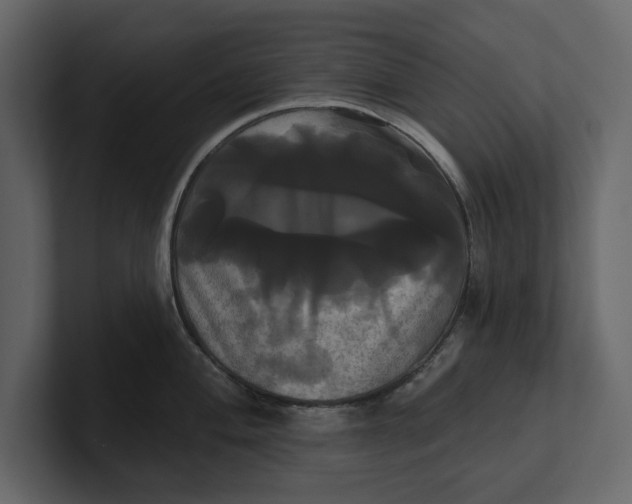 X0000100921004200807151218