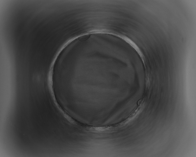 X0000100921005200807151218