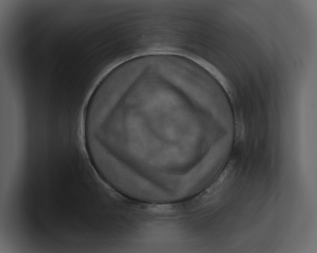 X0000100921006200807151218