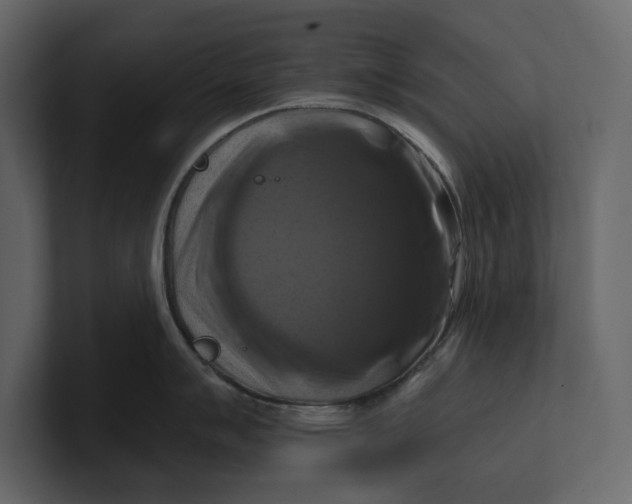 X0000100921007200807151218