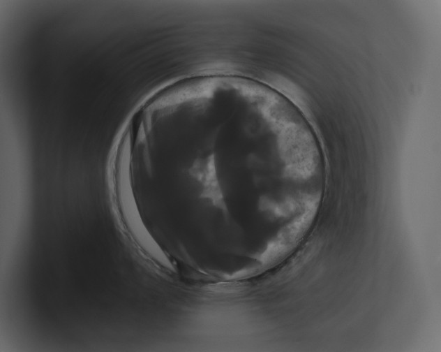 X0000100921008200807151218