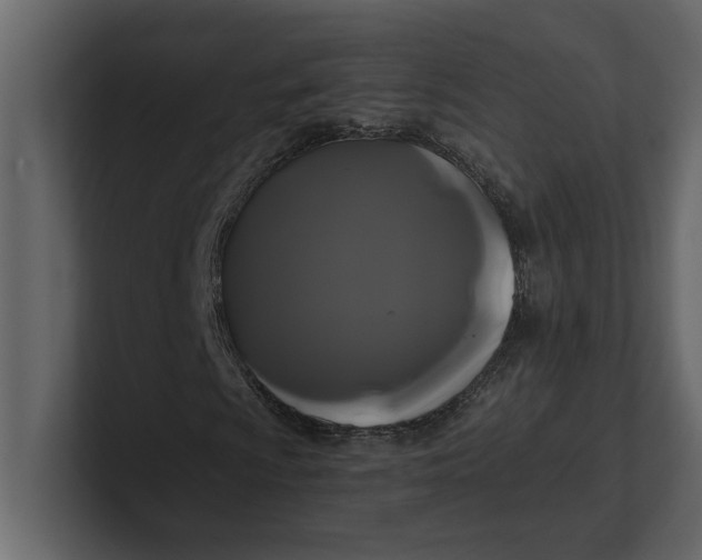 X0000100921009200807151217