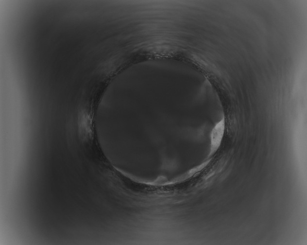 X0000100921010200807151217