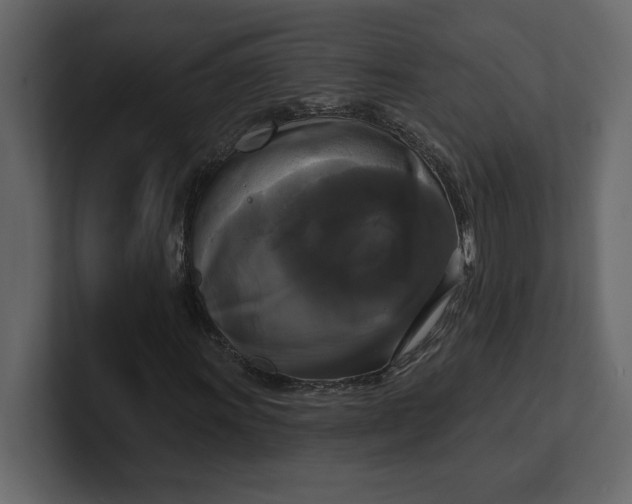 X0000100921011200807151217