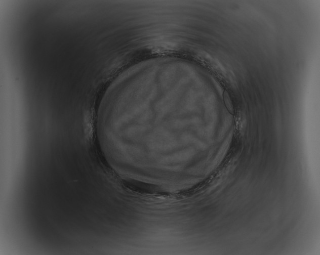 X0000100921012200807151217