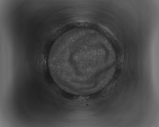 X0000100921013200807151217