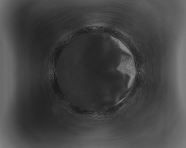 X0000100921014200807151217